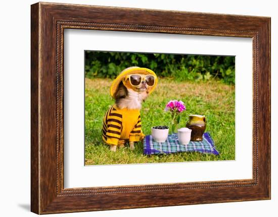 Chihuahua Picnic In Summer Garden-vitalytitov-Framed Photographic Print