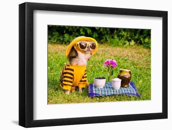 Chihuahua Picnic In Summer Garden-vitalytitov-Framed Photographic Print