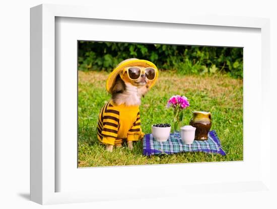Chihuahua Picnic In Summer Garden-vitalytitov-Framed Photographic Print