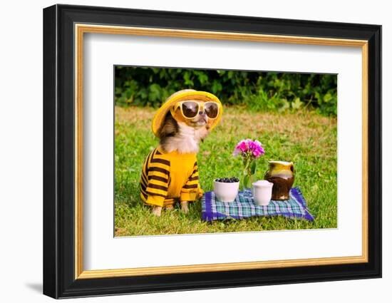 Chihuahua Picnic In Summer Garden-vitalytitov-Framed Photographic Print