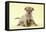 Chihuahua Puppy Standing with Duckling (6 Weeks)-null-Framed Premier Image Canvas