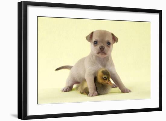 Photographic Print, , large