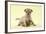 Chihuahua Puppy Standing with Duckling (6 Weeks)-null-Framed Photographic Print