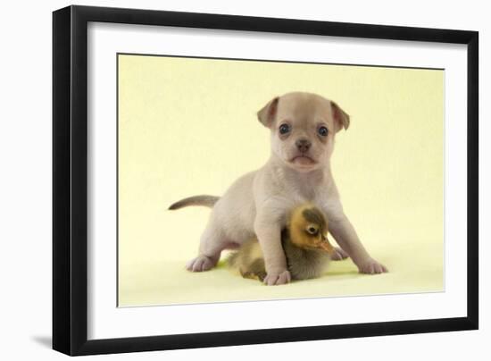 Photographic Print, , large