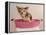 Chihuahua Puppy Taking A Bath Wearing Goggles Sitting In Pink Bathtub-vitalytitov-Framed Premier Image Canvas