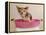 Chihuahua Puppy Taking A Bath Wearing Goggles Sitting In Pink Bathtub-vitalytitov-Framed Premier Image Canvas