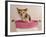 Chihuahua Puppy Taking A Bath Wearing Goggles Sitting In Pink Bathtub-vitalytitov-Framed Photographic Print