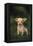 Chihuahua Puppy-DLILLC-Framed Premier Image Canvas