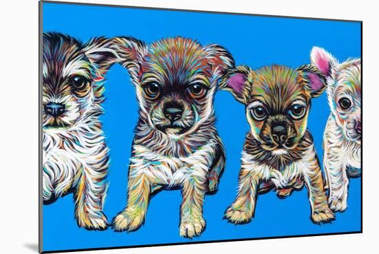 Chihuahua Pups-Carolee Vitaletti-Mounted Art Print