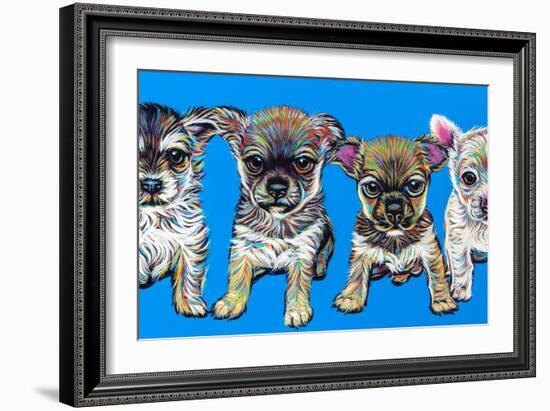 Chihuahua Pups-Carolee Vitaletti-Framed Art Print