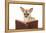 Chihuahua Reading a Book Wearing Glasses-null-Framed Premier Image Canvas