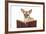 Chihuahua Reading a Book Wearing Glasses-null-Framed Photographic Print