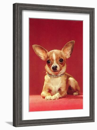 Chihuahua, Retro-null-Framed Art Print