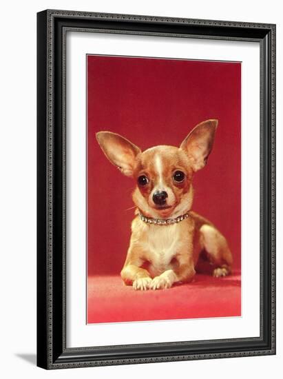 Chihuahua, Retro-null-Framed Art Print