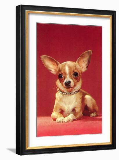 Chihuahua, Retro-null-Framed Art Print