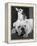 Chihuahua Seated on a Bulldog-Bettmann-Framed Premier Image Canvas