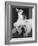 Chihuahua Seated on a Bulldog-Bettmann-Framed Photographic Print