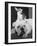 Chihuahua Seated on a Bulldog-Bettmann-Framed Photographic Print