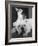 Chihuahua Seated on a Bulldog-Bettmann-Framed Photographic Print