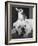 Chihuahua Seated on a Bulldog-Bettmann-Framed Photographic Print