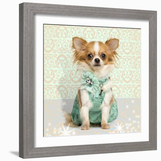 Chihuahua Wearing A Green Dress, Sitting On Fancy Background-Life on White-Framed Photographic Print