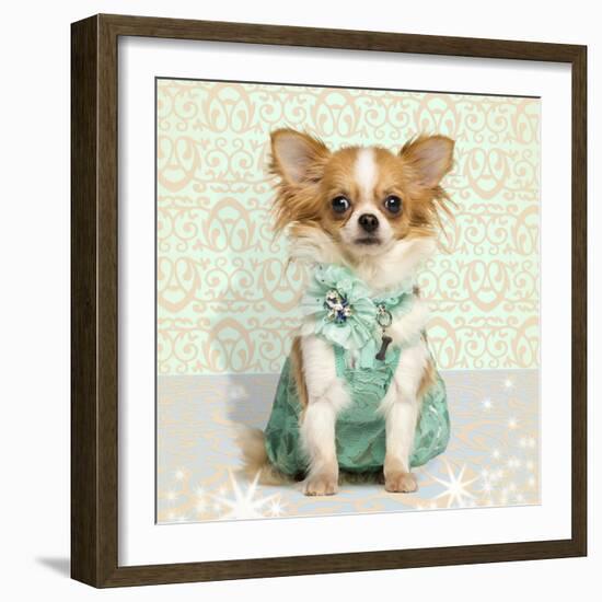 Chihuahua Wearing A Green Dress, Sitting On Fancy Background-Life on White-Framed Photographic Print