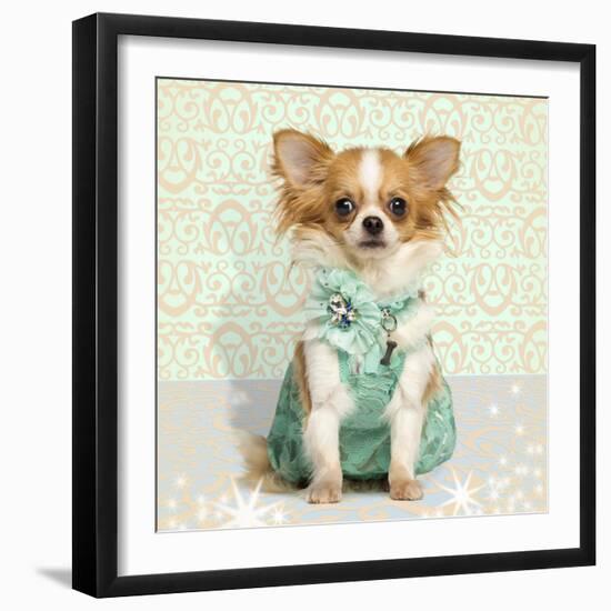 Chihuahua Wearing A Green Dress, Sitting On Fancy Background-Life on White-Framed Photographic Print