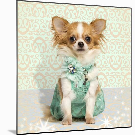 Chihuahua Wearing A Green Dress, Sitting On Fancy Background-Life on White-Mounted Photographic Print