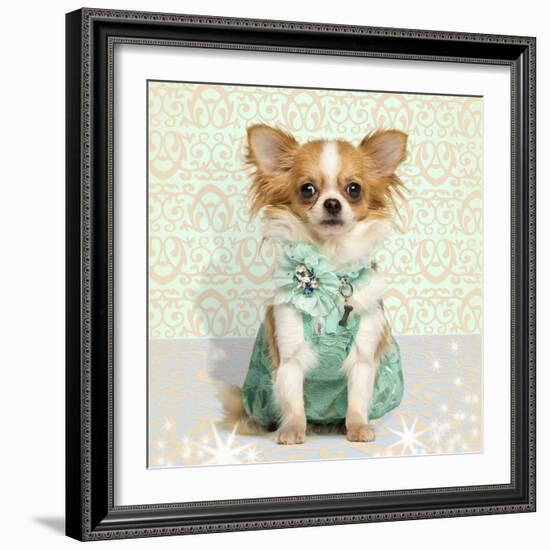 Chihuahua Wearing A Green Dress, Sitting On Fancy Background-Life on White-Framed Photographic Print