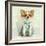 Chihuahua Wearing A Green Dress, Sitting On Fancy Background-Life on White-Framed Photographic Print