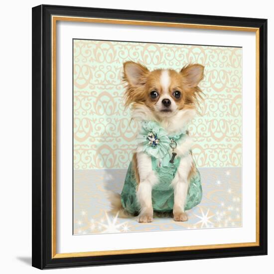 Chihuahua Wearing A Green Dress, Sitting On Fancy Background-Life on White-Framed Photographic Print