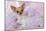 Chihuahua Wearing Pink Collar Laying on Purple-null-Mounted Photographic Print