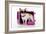 Chihuahua Wearing Sunglasses with Girly Props-null-Framed Photographic Print