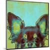 Chihuahua-null-Mounted Art Print