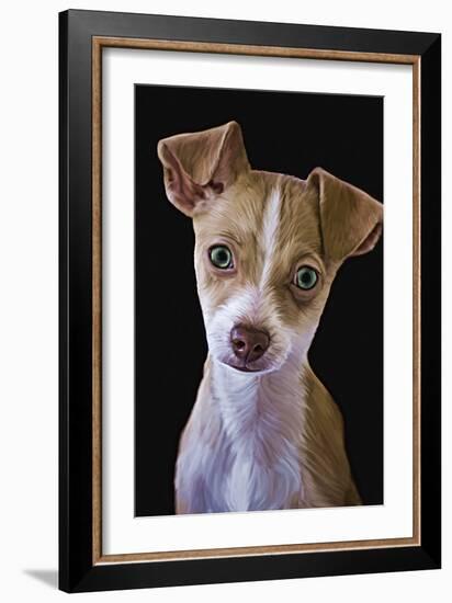 Chihuahua-Lori Hutchison-Framed Photographic Print