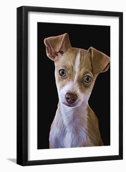 Chihuahua-Lori Hutchison-Framed Photographic Print