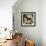 Chihuahua-Karen Williams-Framed Giclee Print displayed on a wall