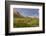 Chihuahuan Desert.-Larry Ditto-Framed Photographic Print