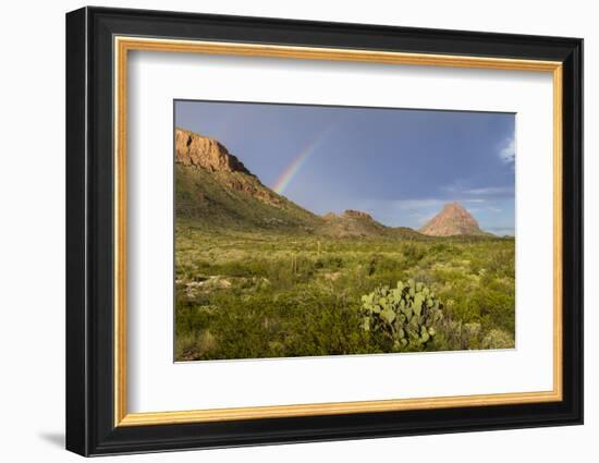 Chihuahuan Desert.-Larry Ditto-Framed Photographic Print