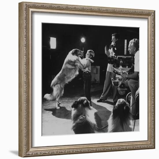 Child Actor Tommy Ruddick, Acting on TV Program with Lassie-null-Framed Premium Photographic Print