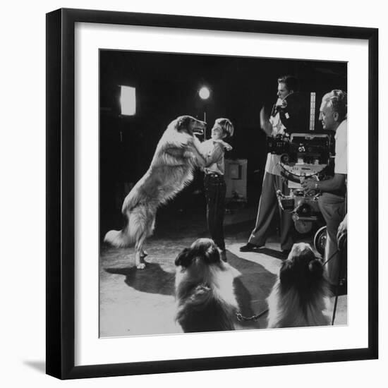 Premium Photographic Print, , large