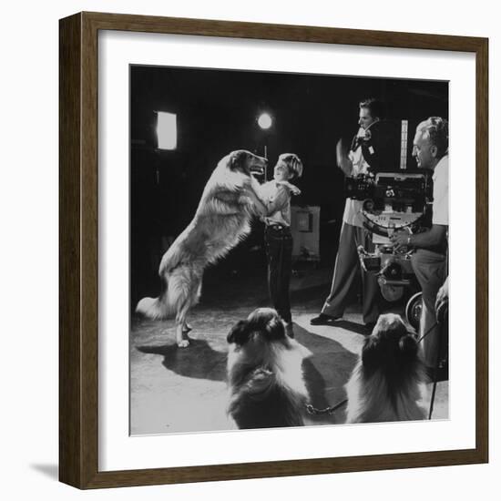 Child Actor Tommy Ruddick, Acting on TV Program with Lassie-null-Framed Premium Photographic Print