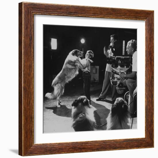 Child Actor Tommy Ruddick, Acting on TV Program with Lassie-null-Framed Premium Photographic Print