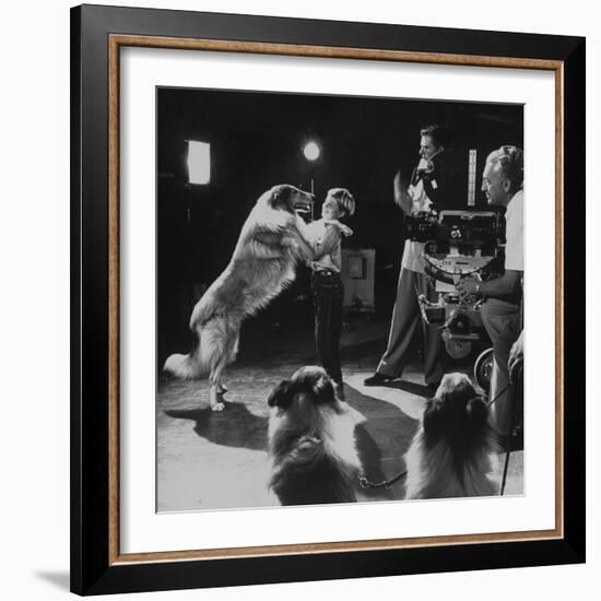 Child Actor Tommy Ruddick, Acting on TV Program with Lassie-null-Framed Premium Photographic Print