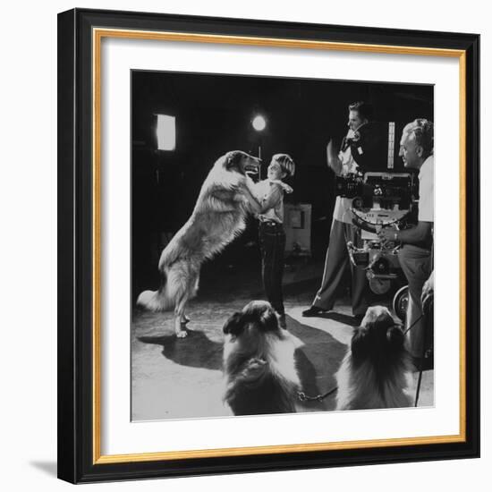 Child Actor Tommy Ruddick, Acting on TV Program with Lassie-null-Framed Premium Photographic Print