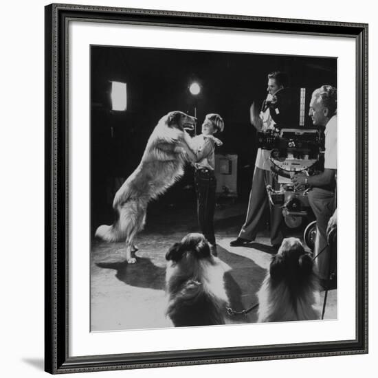 Child Actor Tommy Ruddick, Acting on TV Program with Lassie-null-Framed Premium Photographic Print