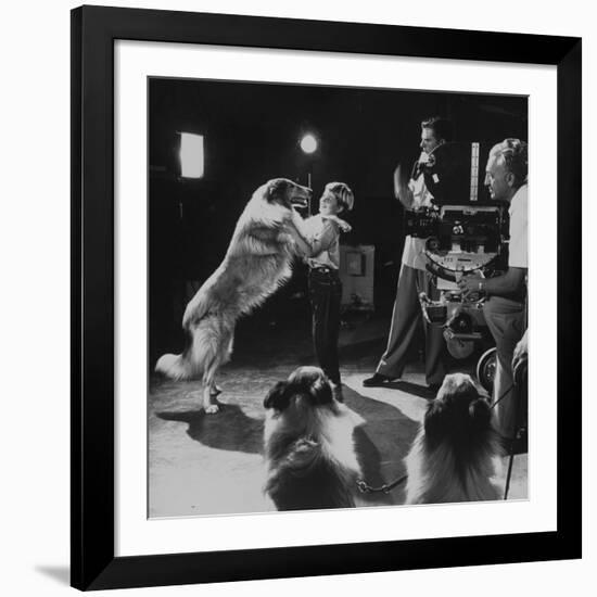 Child Actor Tommy Ruddick, Acting on TV Program with Lassie-null-Framed Premium Photographic Print