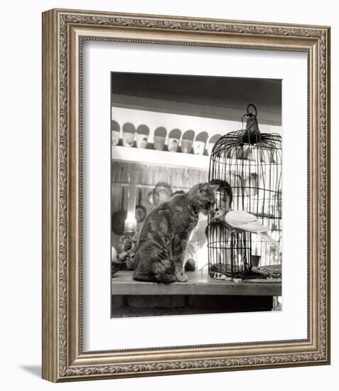 Child, Cat and Dove-Robert Doisneau-Framed Art Print