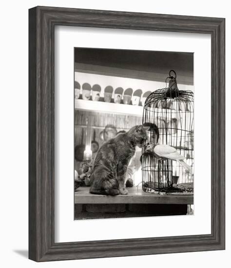 Child, Cat and Dove-Robert Doisneau-Framed Art Print