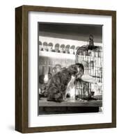 Child, Cat and Dove-Robert Doisneau-Framed Art Print